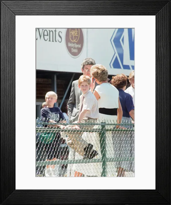 Framed Print : 1994 British Grand Prix, Silverstone, Northamptonshire, England, Sunday 10th July 1994