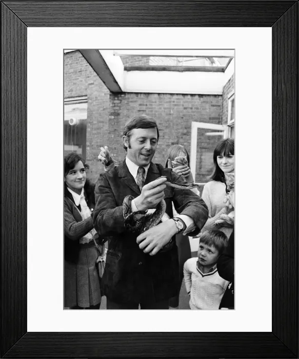 Framed Print : In preparation for the Daily Mirror National Pet Show which is held at Alexandra Palace Framed Print : In preparation for the Daily Mirror National Pet Show which is held at Alexandra Palace
