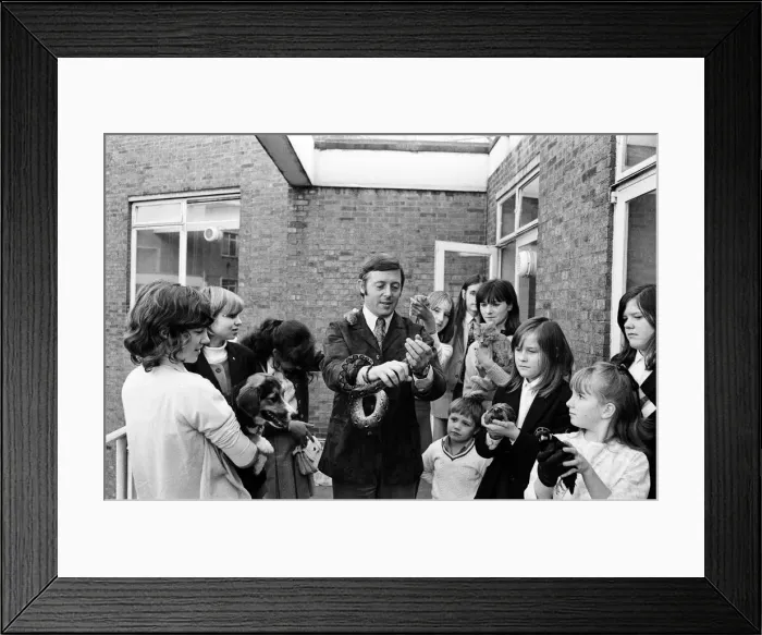 Framed Print : In preparation for the Daily Mirror National Pet Show which is held at Alexandra Palace Framed Print : In preparation for the Daily Mirror National Pet Show which is held at Alexandra Palace