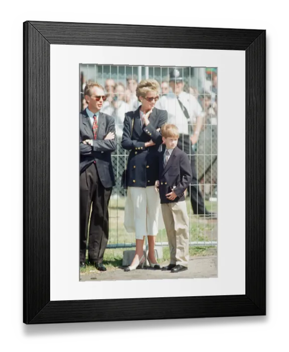 Framed Print : 1994 British Grand Prix, Silverstone, Northamptonshire, England, Sunday 10th July 1994