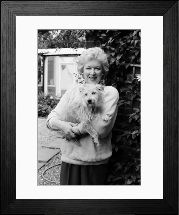 Framed Print : Actress June Whitfield pictured at home. 27th August 1987 Framed Print : Actress June Whitfield pictured at home. 27th August 1987