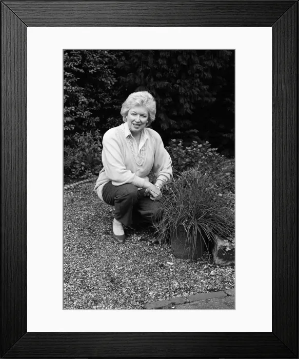 Framed Print : Actress June Whitfield pictured at home. 27th August 1987 Framed Print : Actress June Whitfield pictured at home. 27th August 1987