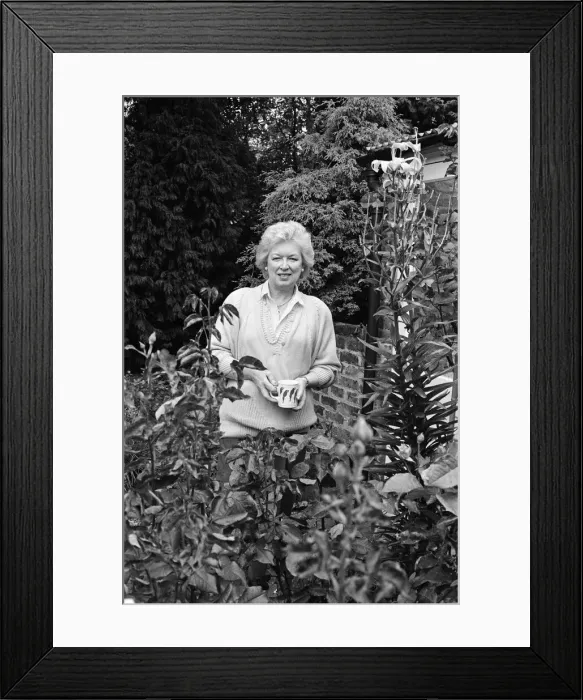 Framed Print : Actress June Whitfield pictured at home. 27th August 1987 Framed Print : Actress June Whitfield pictured at home. 27th August 1987