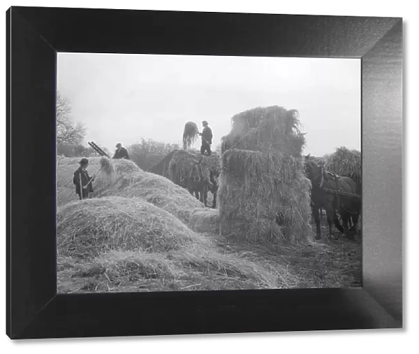 Haymaking in the 1930 s