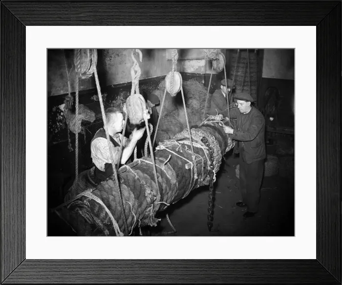 Framed Print : Fishermen seen here making a new fender for the fishing fleet moored in the Cornish Framed Print : Fishermen seen here making a new fender for the fishing fleet moored in the Cornish