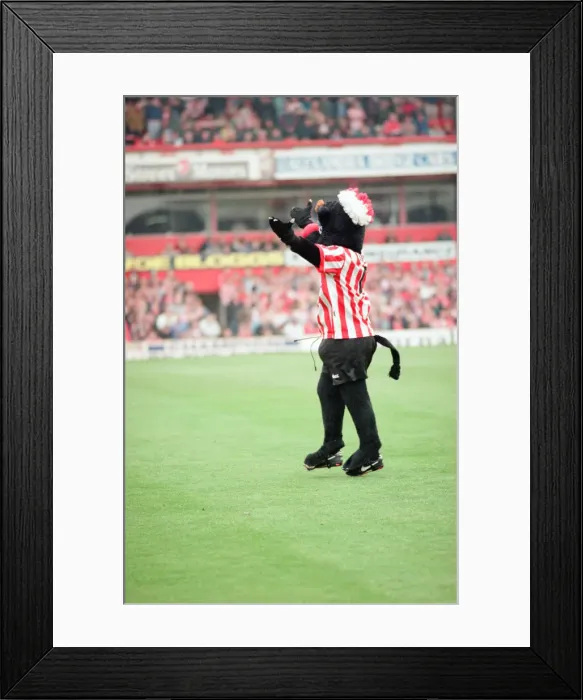 Framed Print : Sunderland 3-0 Everton, Premier league match at Roker Park Framed Print : Sunderland 3-0 Everton, Premier league match at Roker Park