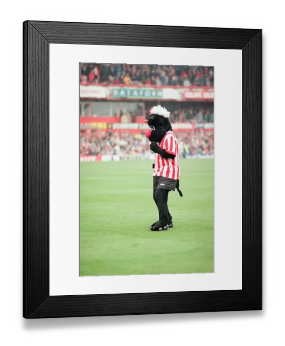 Framed Print : Sunderland 3-0 Everton, Premier league match at Roker Park