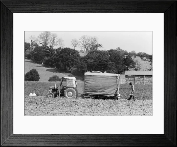 Framed Print : The Seasalter Pop Festival, Kent. 28th August 1976 Framed Print : The Seasalter Pop Festival, Kent. 28th August 1976