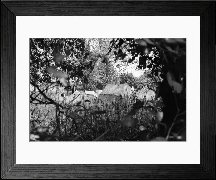 Framed Print : The Seasalter Pop Festival, Kent. 28th August 1976 Framed Print : The Seasalter Pop Festival, Kent. 28th August 1976