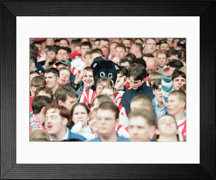 Framed Print : Sunderland 3-0 Everton, Premier league match at Roker Park Framed Print : Sunderland 3-0 Everton, Premier league match at Roker Park