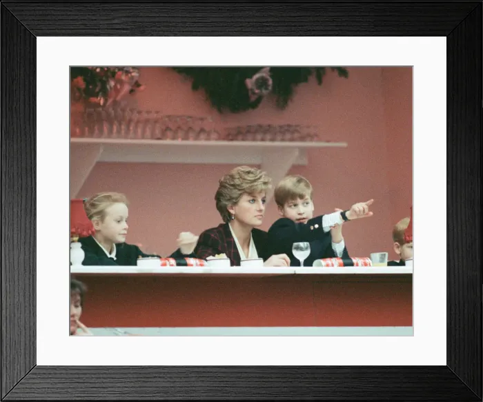 Framed Print : HRH Princess Diana, The Princess of Wales, with her sons Prince William and Prince Harry Framed Print : HRH Princess Diana, The Princess of Wales, with her sons Prince William and Prince Harry