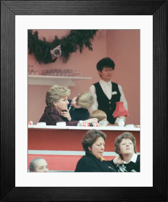Framed Print : HRH Princess Diana, The Princess of Wales, with her sons Prince William and Prince Harry Framed Print : HRH Princess Diana, The Princess of Wales, with her sons Prince William and Prince Harry