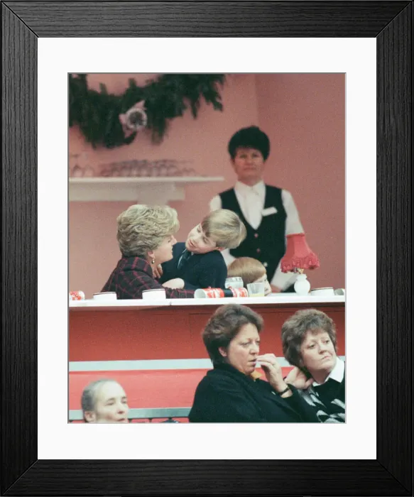 Framed Print : HRH Princess Diana, The Princess of Wales, with her sons Prince William and Prince Harry Framed Print : HRH Princess Diana, The Princess of Wales, with her sons Prince William and Prince Harry