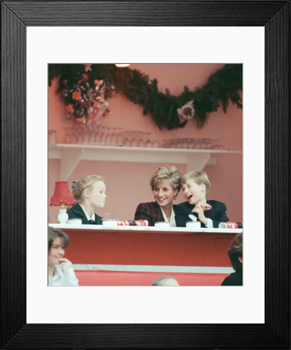 Framed Print : HRH Princess Diana, The Princess of Wales, with her sons Prince William and Prince Harry Framed Print : HRH Princess Diana, The Princess of Wales, with her sons Prince William and Prince Harry