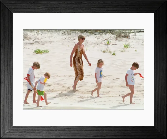 Framed Print : HRH Princess Diana, The Princess of Wales and her children Prince William