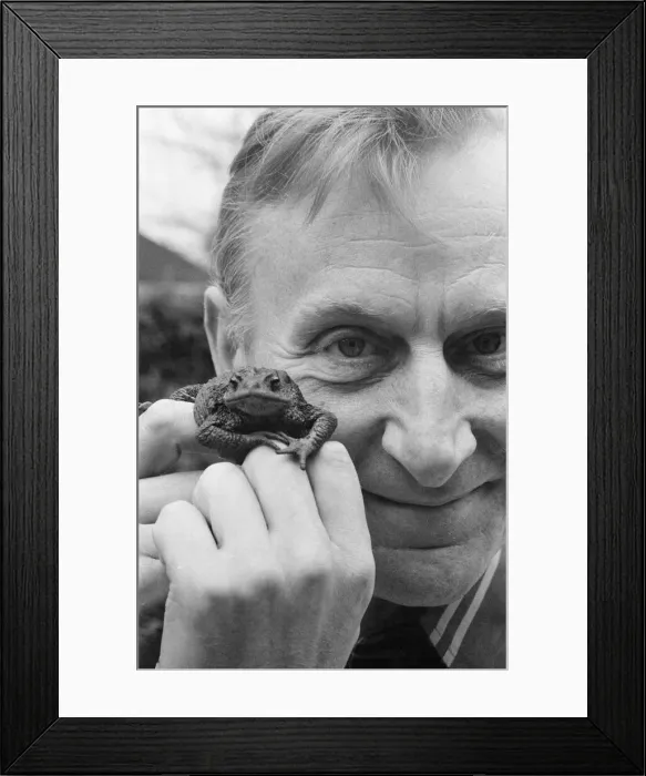 Framed Print : Catweasel and Stoats, new LWT Childrens television series Framed Print : Catweasel and Stoats, new LWT Childrens television series