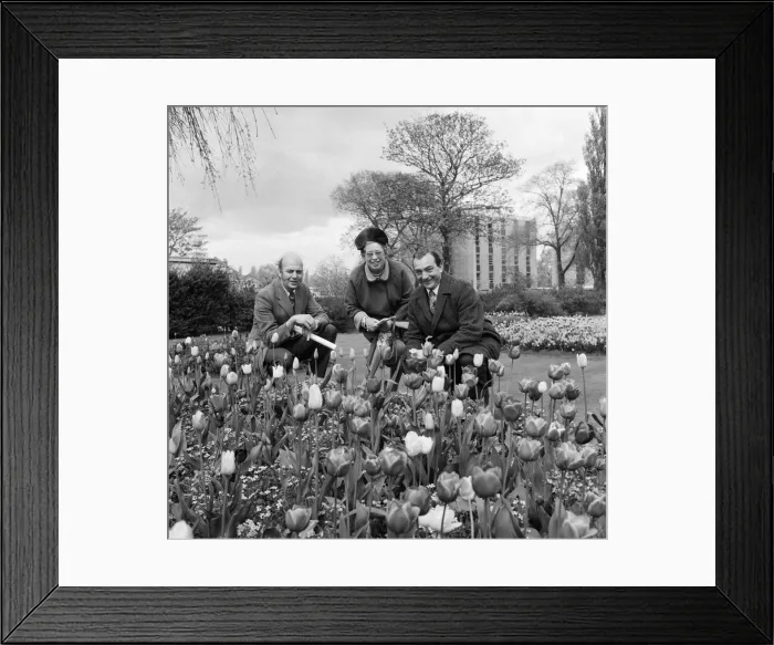 Framed Print : Britain in Bloom judges in Albert Park, Middlesbrough. 1973 Framed Print : Britain in Bloom judges in Albert Park, Middlesbrough. 1973