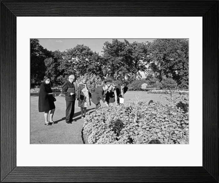 Framed Print : Britain in Bloom judges in Middlesbrough. 1972 Framed Print : Britain in Bloom judges in Middlesbrough. 1972