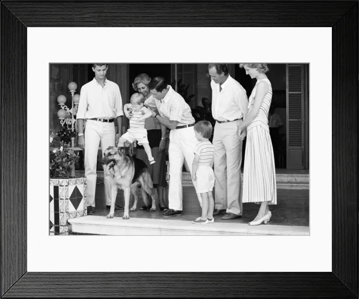 Framed Print : Prince Harry befriends the family dog. Rest of this picture set Framed Print : Prince Harry befriends the family dog. Rest of this picture set
