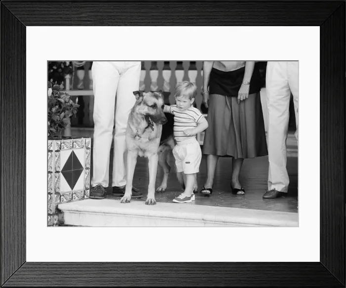 Framed Print : Prince Harry befriends the family dog. Rest of this picture set Framed Print : Prince Harry befriends the family dog. Rest of this picture set