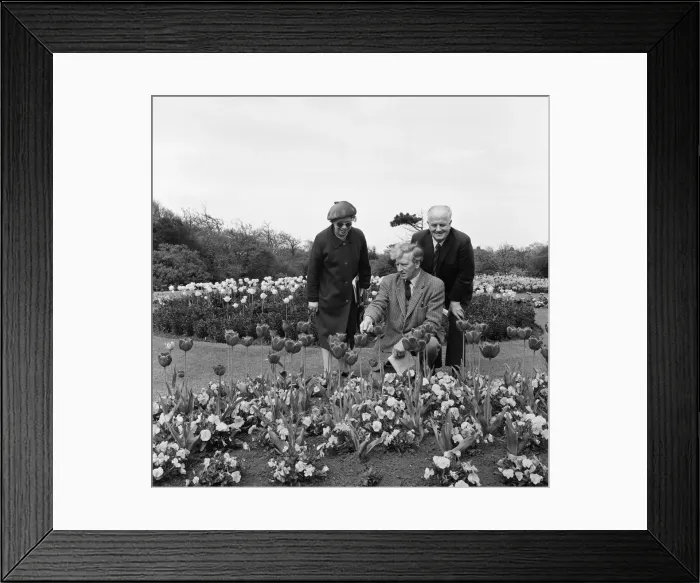 Framed Print : Britain in Bloom judges in Redcar. 1971 Framed Print : Britain in Bloom judges in Redcar. 1971