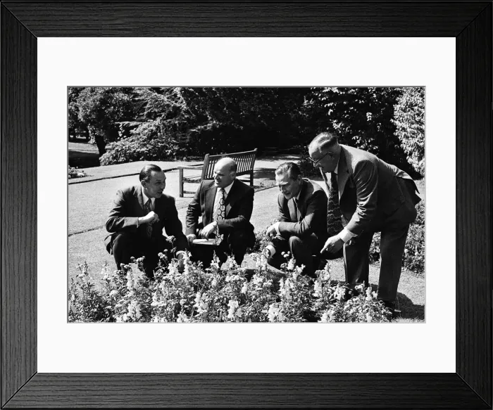 Framed Print : Britain in Bloom judging, Teesside. 1975 Framed Print : Britain in Bloom judging, Teesside. 1975