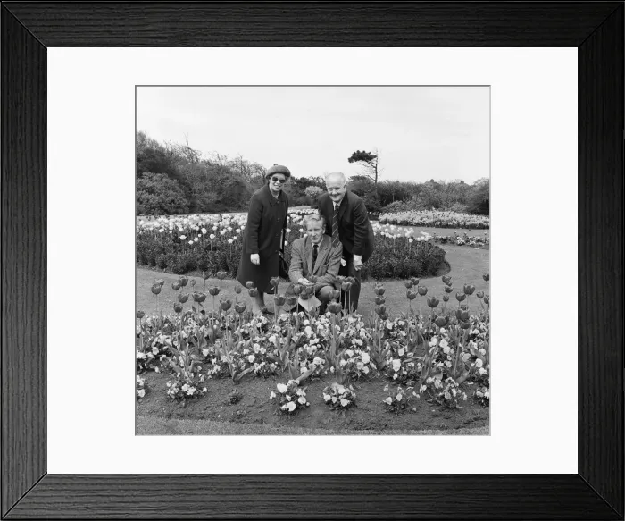 Framed Print : Britain in Bloom judges in Redcar. 1971 Framed Print : Britain in Bloom judges in Redcar. 1971