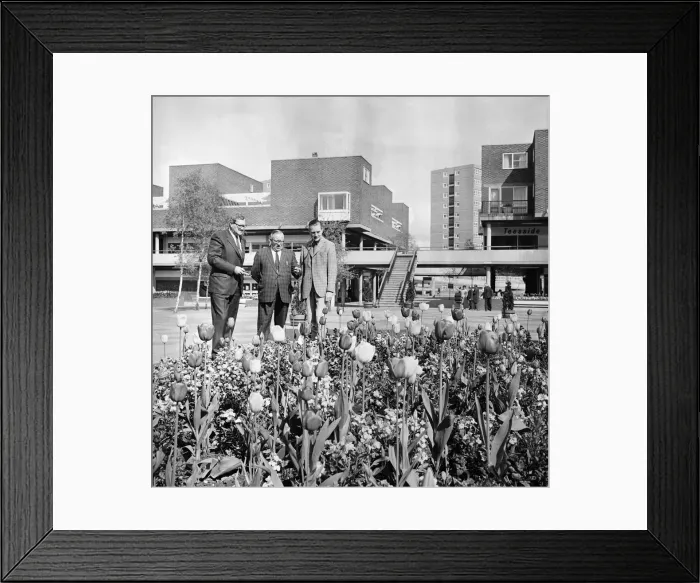 Framed Print : Britain in Bloom judges in Thornaby-on-Tees. 1972