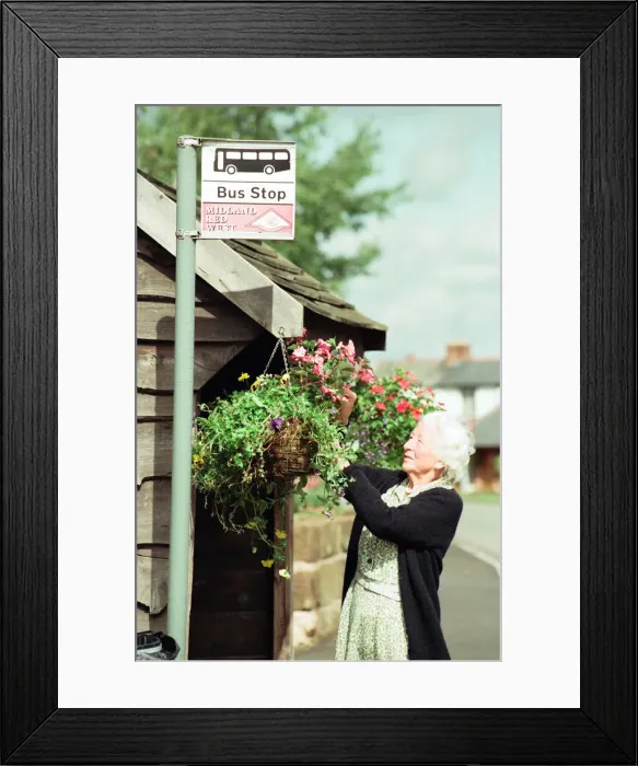 Framed Print : Preaprations in Hartlebury, Worcestershire, which has reached the national finals of Framed Print : Preaprations in Hartlebury, Worcestershire, which has reached the national finals of