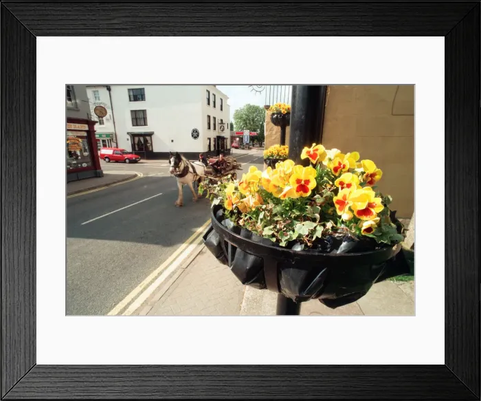 Framed Print : A horse and cart makes it way along Shipston-on-Stour High Street, Warwickshire