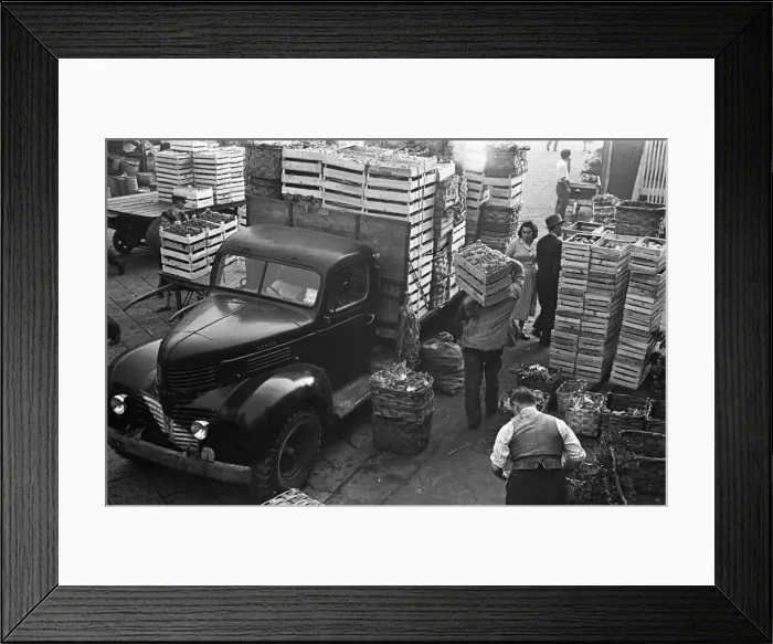 Framed Print : Fresh produce is off loaded at a Milan market. Circa 1955 Framed Print : Fresh produce is off loaded at a Milan market. Circa 1955