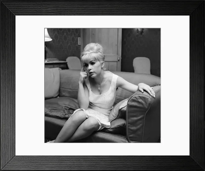 Framed Print : Stella Stevens, American film, television, and stage actress, pictured in hotel suite Framed Print : Stella Stevens, American film, television, and stage actress, pictured in hotel suite