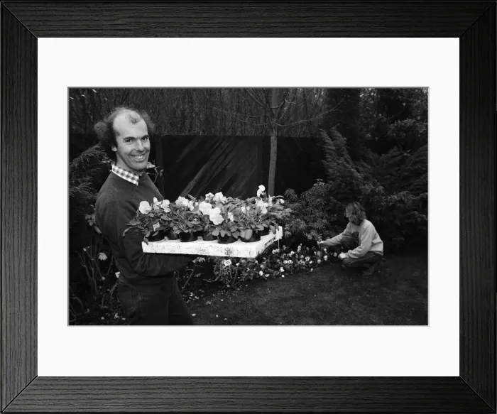 Framed Print : Head gardener Mr Brian Gilbride celebrates the success of Telford in the 1989 Britain in Framed Print : Head gardener Mr Brian Gilbride celebrates the success of Telford in the 1989 Britain in