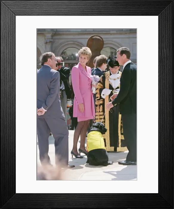 Framed Print : HRH Princess Diana, The Princess of Wales, meets the people of Birmingham, Midlands Framed Print : HRH Princess Diana, The Princess of Wales, meets the people of Birmingham, Midlands