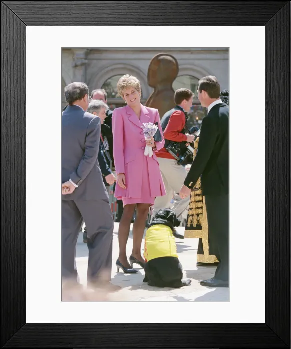 Framed Print : HRH Princess Diana, The Princess of Wales, meets the people of Birmingham, Midlands Framed Print : HRH Princess Diana, The Princess of Wales, meets the people of Birmingham, Midlands