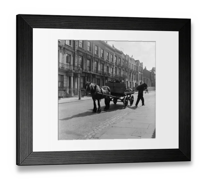 Framed Print : Coalman Mr Nightingale delivering coal. 25th April 1955