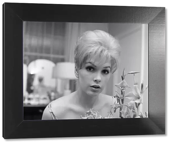 Stella Stevens, American film, television, and stage actress, pictured in her hotel suite