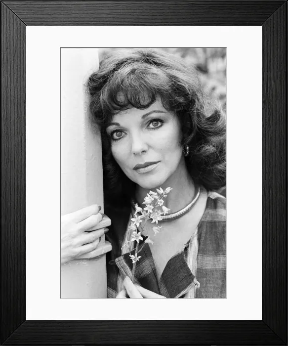 Framed Print : Actress Joan Collins. 6th May 1983