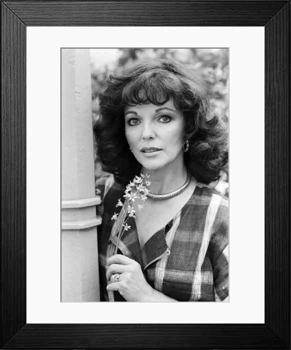 Framed Print : Actress Joan Collins. 6th May 1983 Framed Print : Actress Joan Collins. 6th May 1983
