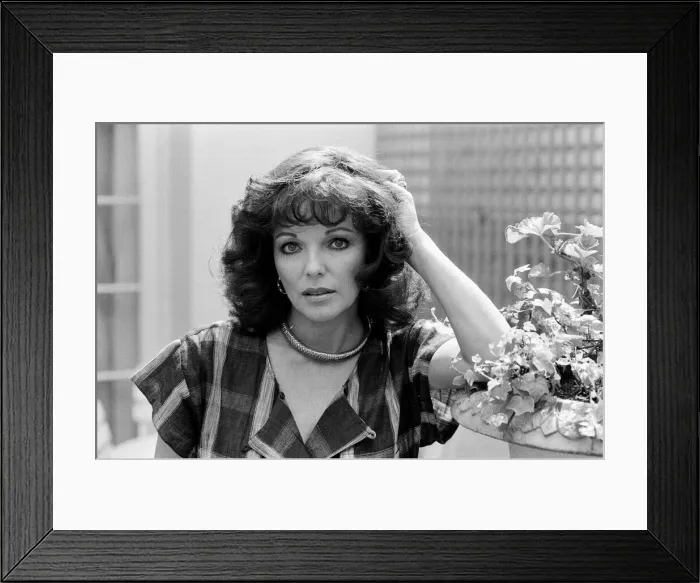Framed Print : Actress Joan Collins. 6th May 1983 Framed Print : Actress Joan Collins. 6th May 1983