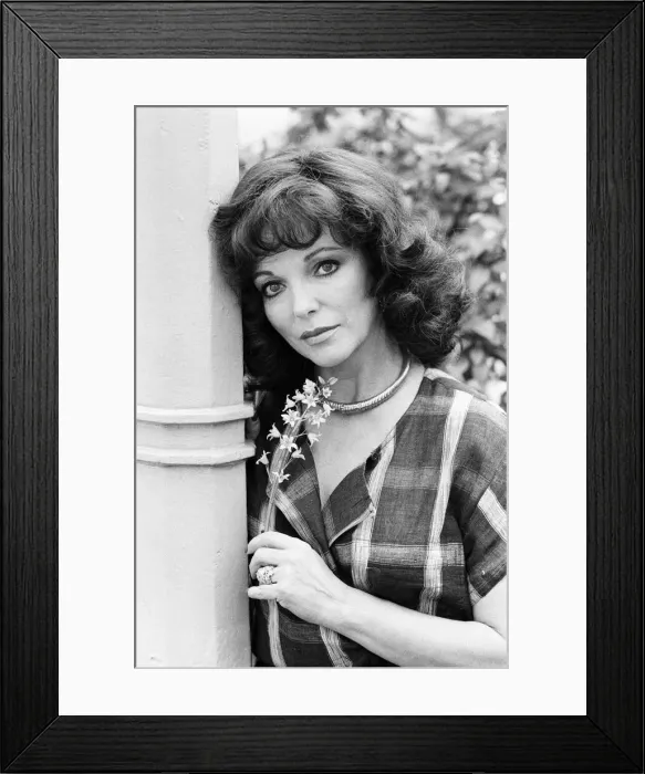 Framed Print : Actress Joan Collins. 6th May 1983 Framed Print : Actress Joan Collins. 6th May 1983