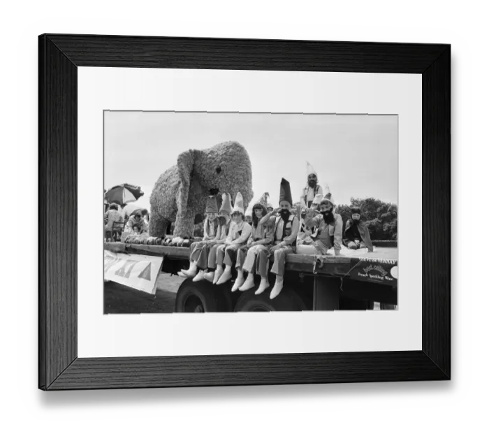 Framed Print : Coventry Carnival scenes at Memorial Park. Children in fancy dress sitting on a Framed Print : Coventry Carnival scenes at Memorial Park. Children in fancy dress sitting on a