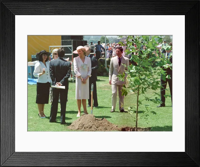 Framed Print : HRH Princess Diana, The Princess of Wales during her tour of Australia in 1988 Framed Print : HRH Princess Diana, The Princess of Wales during her tour of Australia in 1988