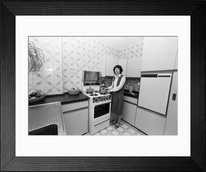 Framed Print : Mrs Singleton of Croydon has had her kitchen done up by a new cheap method that entails Framed Print : Mrs Singleton of Croydon has had her kitchen done up by a new cheap method that entails
