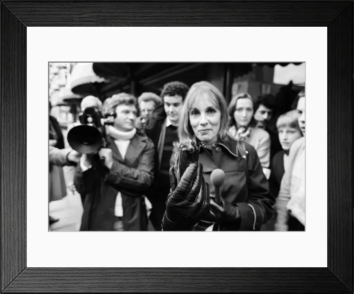 Framed Print : Thats Life'television star Esther Rantzen pictured asking passers-by to