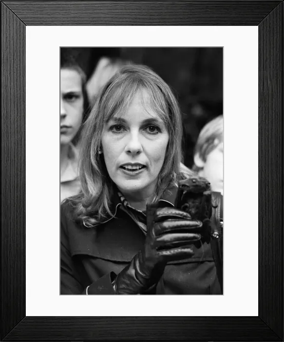 Framed Print : Thats Life'television star Esther Rantzen pictured asking passers-by to Framed Print : Thats Life'television star Esther Rantzen pictured asking passers-by to