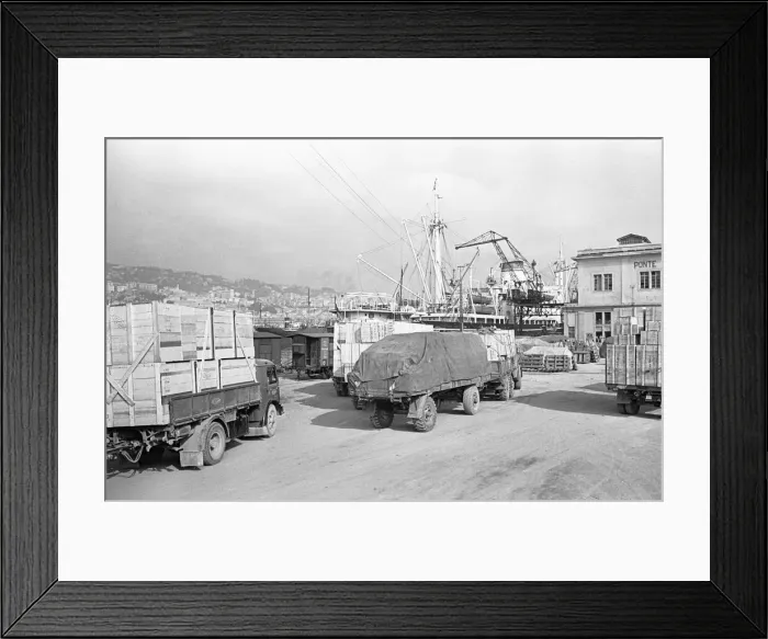 Framed Print : Lorries await to unload at Genoa docks. Circa 1955 Framed Print : Lorries await to unload at Genoa docks. Circa 1955