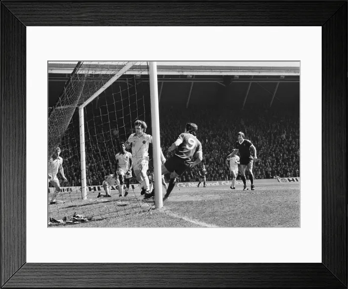Framed Print : Liverpool Football team celebrate winning the League title after defeating Aston Villa Framed Print : Liverpool Football team celebrate winning the League title after defeating Aston Villa