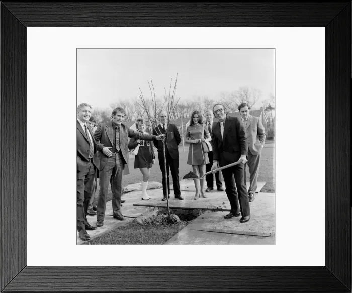 Framed Print : Nobby Stiles planting a tree, Teesside. 1972 Framed Print : Nobby Stiles planting a tree, Teesside. 1972