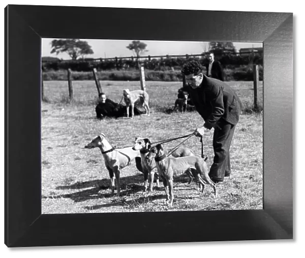 Miners lavish care on their dog pals and here is Mr. L Thompson getting his whippets into